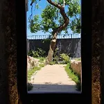 La Castellina فندق مبيت وإفطار 3*